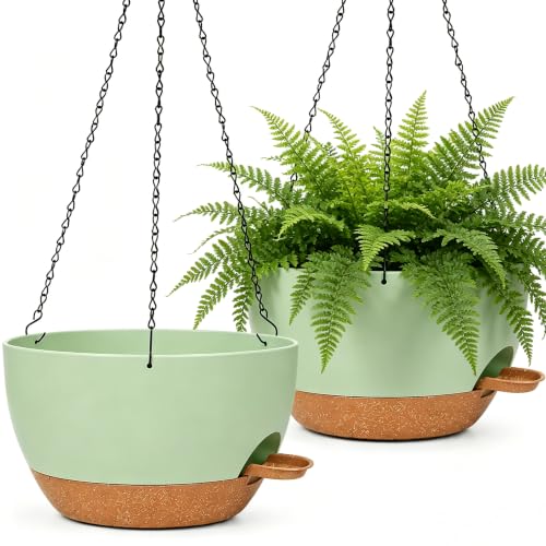 2 Pack 10 Inch Self Watering Hanging Planters for Indoor Plants