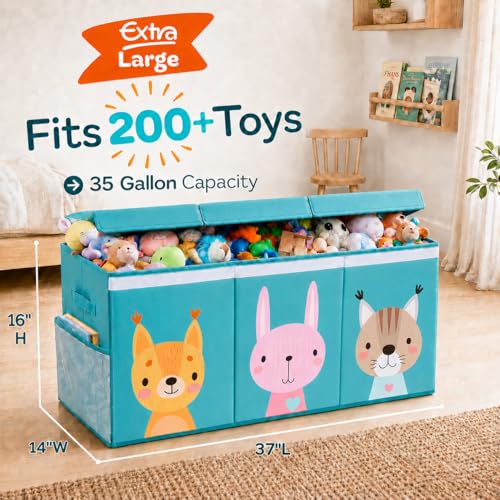 Extra Large Toy Storage Organizer with Lid