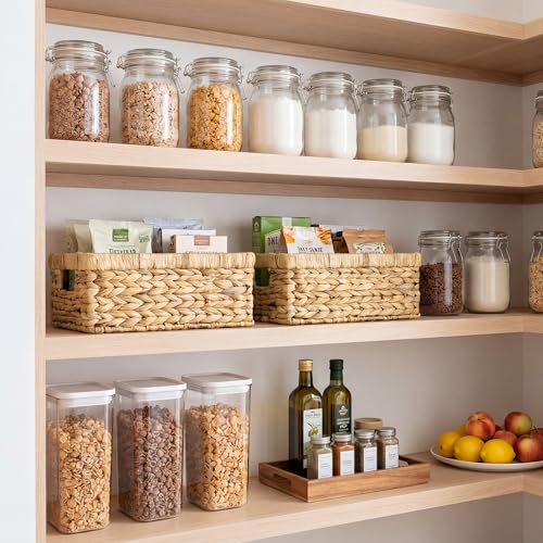 Wicker Storage Baskets for Shelves (2 Count)