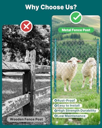 Fence Posts 6 Feet