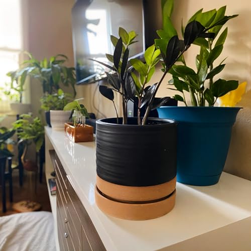 6 Inch Plant Pots