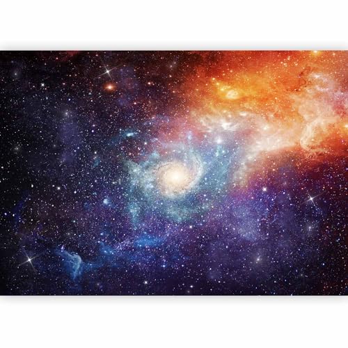 Premium Wall Mural Wallpaper (6 Count)