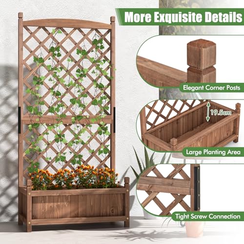 2 60” Raised Garden Bed with Trellis