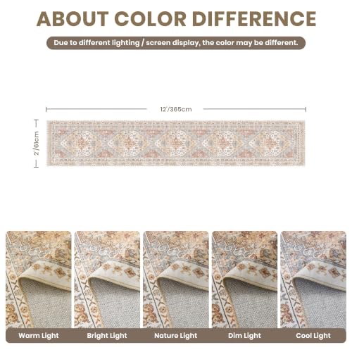 2x12 Runner Rug Non Slip (24 Sq Ft)