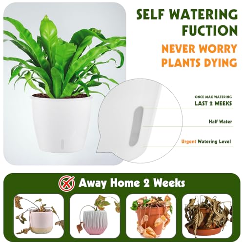 Self Watering Pots for Indoor Plants