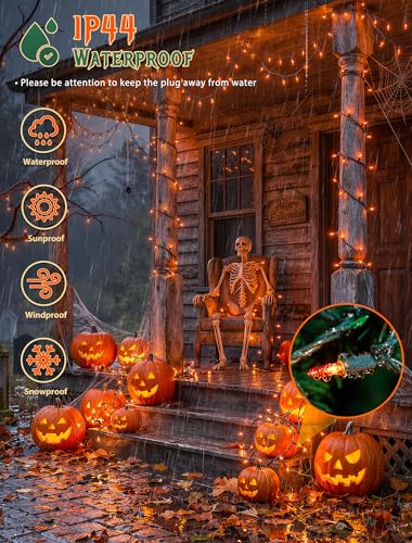 Orange Halloween Lights (13 Foot)