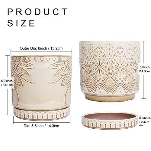 6 Inch Indoor Plant Pots with Drainage Holes and Saucers (2 Count)