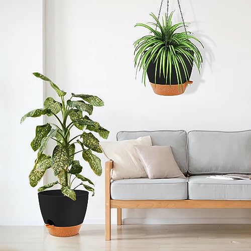 Large Hanging Planter