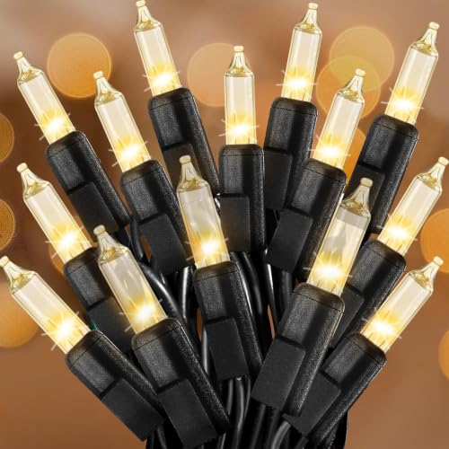Clear Christmas Lights 25FT 100 Incandescent Bulbs Warm White Mini Lights with Black Wire for Christmas Tree