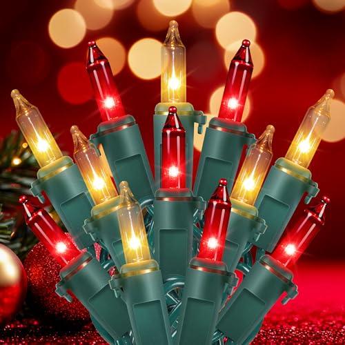 2 Pack Total 26 FT 100 Count Christmas Lights Indoor (26 Foot)