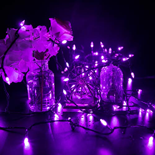 Halloween String Lights Outdoor (76 Foot)