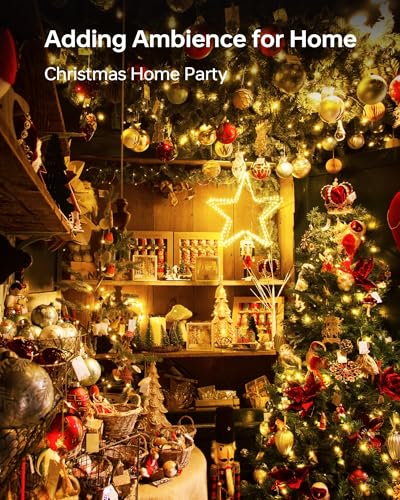 10 Pack Fairy Lights Battery Operated (10 Count)