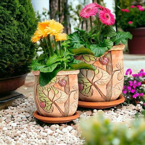 Ceramic Pot with Drainage Hole and Saucer