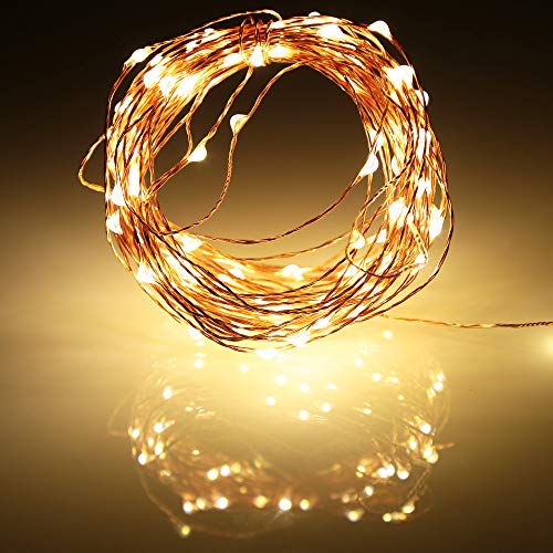 Led Fairy Lights Battery Operated (64 Foot)