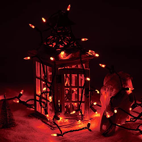 ODEERTONIC Orange Halloween Mini String Lights