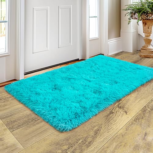 Super Soft Rug for Bedroom (6 Sq Ft)