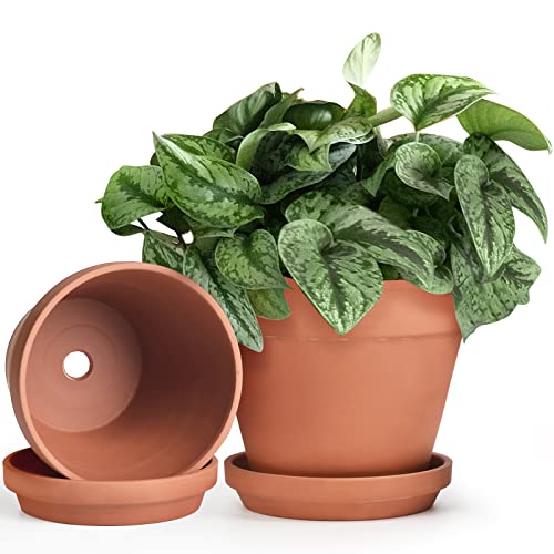 Terracotta Pots Set with Saucer (2 Count)