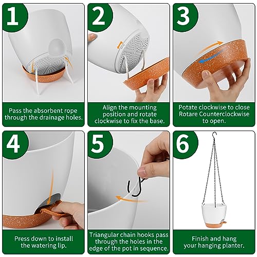 hanging planter (2 Count)