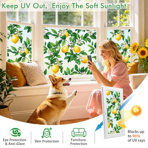 Frosted Window Privacy Film