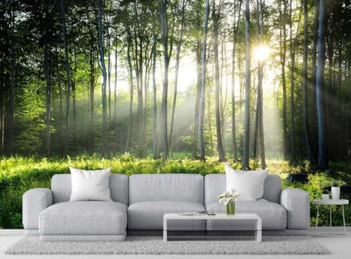 Sunshine in The Woods Mural