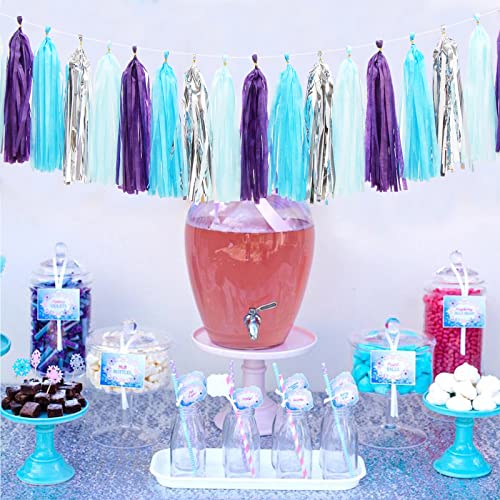 Purple Blue Silver Frozen Party (20 Count)