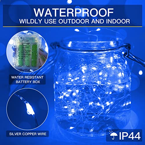 33ft 100 LED Outdoor String Lights