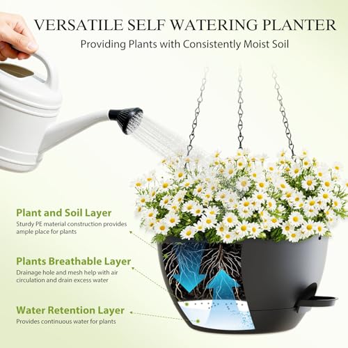 12 Inch Hanging Baskets 2 PC with Chains (2 Count)