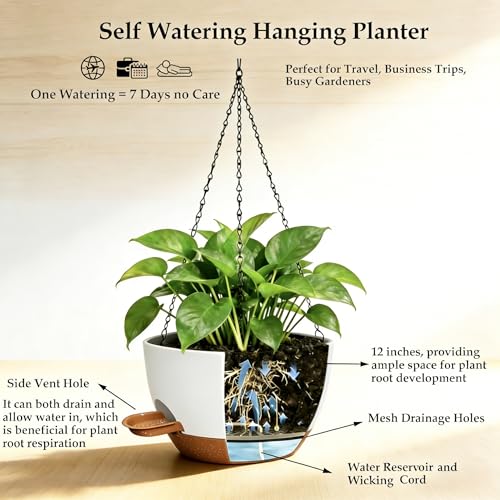 12 Inch Self Watering Hanging Planters 2 Pack (2 Count)