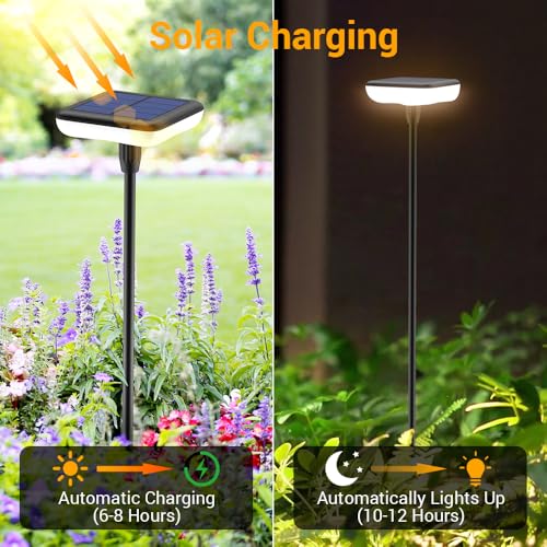 Solar Pathway Lights Outdoor 6 Pack Solar Powered Garden Lights 12H Long Lasting Auto On (6 Count)