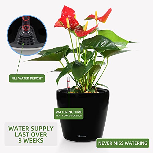 11x10 Self Watering Planter