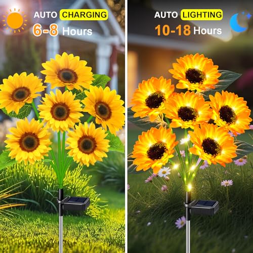 Solar Lights Outdoor Garden Decor 6 Pack (6 Count)