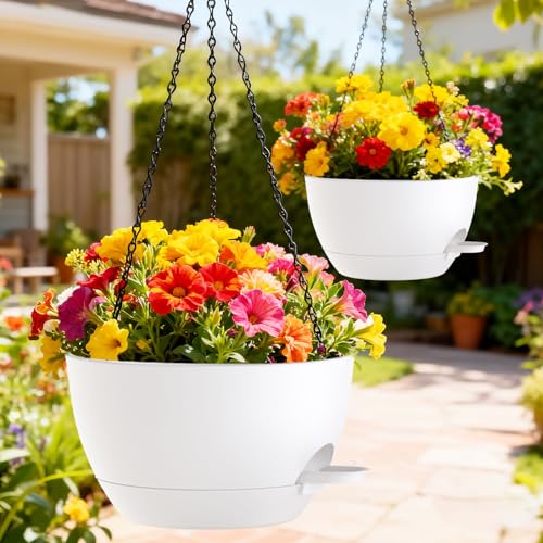 12 Inch Hanging Baskets 2 PC with Chains (2 Count)