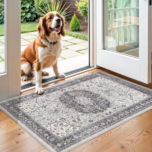 Washable 2x3 Entryway Area Rug (6 Sq Ft)