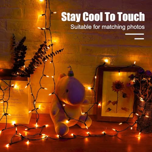 Orange Halloween String Lights Outdoor