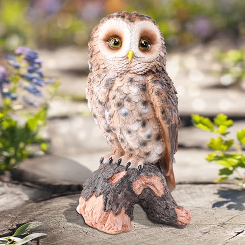 Owl Statue Outdoor