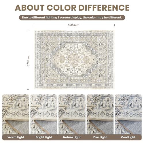 3x5 Rug for Entryway