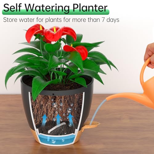 10 Inch Hanging Planters for Indoor Outdoor Plants (2 Count)