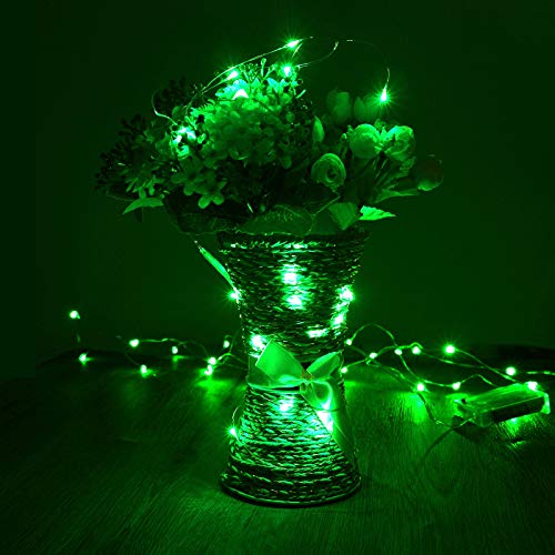 Waterproof LED Fairy String Lights (10 Foot)