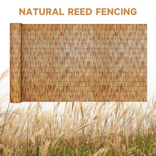 Reed Fencing Rolls Natural Bamboo Fence 6 Feet High Privacy Screen Curtains Fence for Balcony Patio Garden Backyard Shades Outdoor 6FT X 16.4FT （Brown） (98.4 Sq Ft)