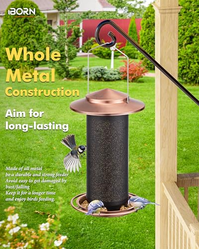 Bird Feeders for Outdoors