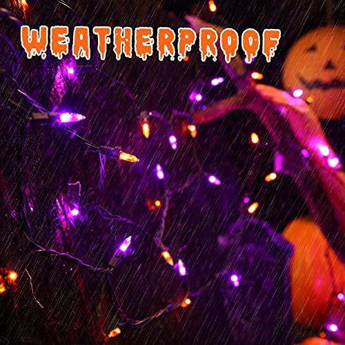 ODEERTONIC Orange & Purple Halloween Mini String Lights (35 Foot)