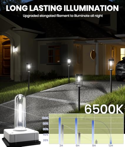Solar Lighting for Walkway (8 Count)