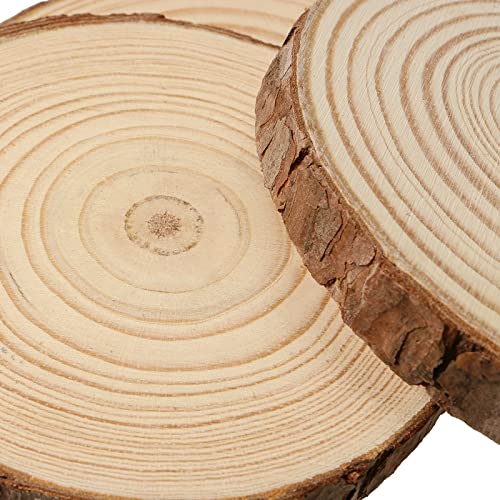 8 PCS 6 7 Inches Natural Wood Slices (8 Count)
