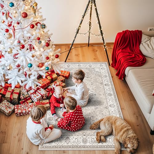 3x5 Living Room Area Rugs (15 Sq Ft)