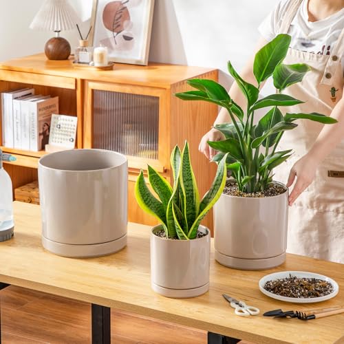 Ceramic Planters (3 Count)
