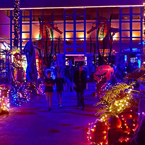 Orange Halloween Fairy String Lights (20 Foot)