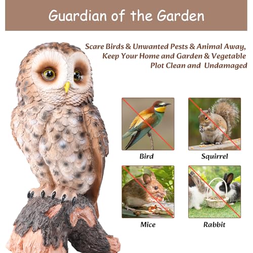 Owl Statue Outdoor