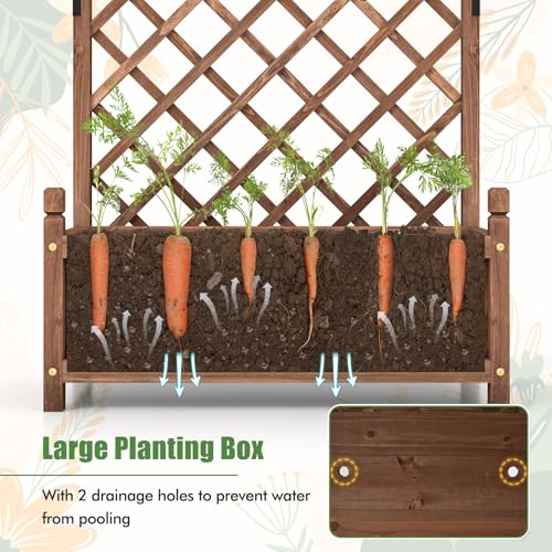 60” Raised Garden Bed with Trellis