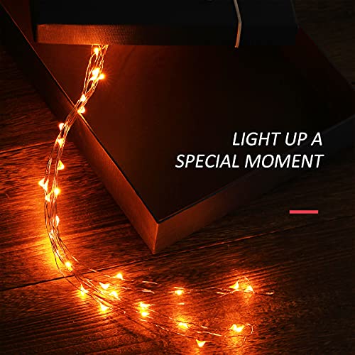 Mini Halloween Fairy Lights Battery Operate (4 Count)