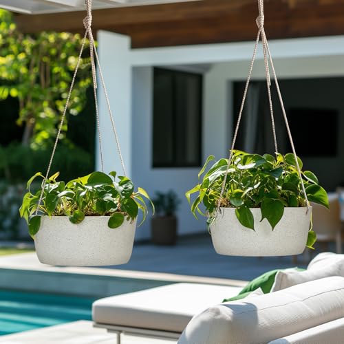 Large Hanging Planters for Outdoor Plants (2 Count)